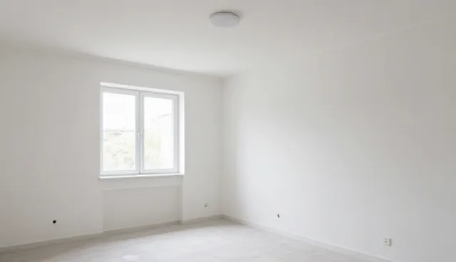 系统实施中性能优化的选型与维护建议